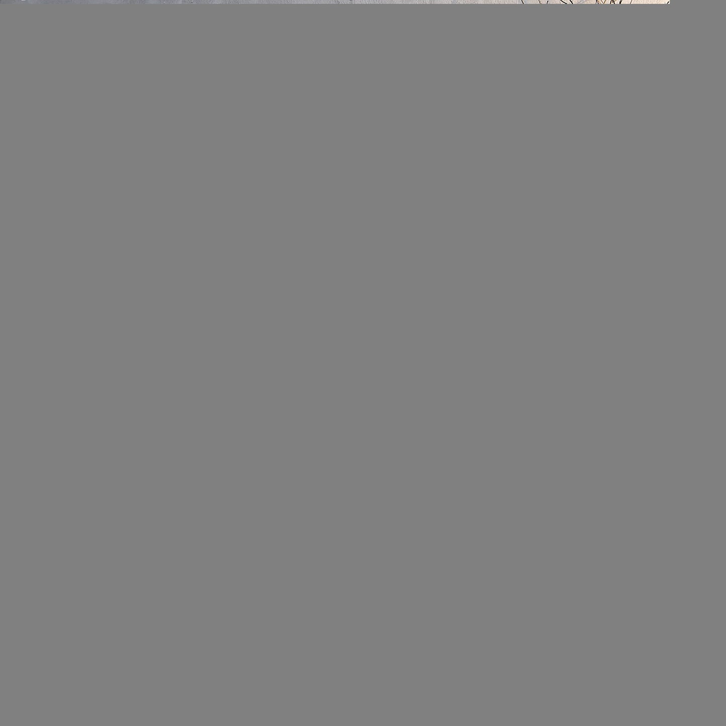 Tube Top Little Evening Dress Dinner Party Nightclub Elegant Short Socialite
