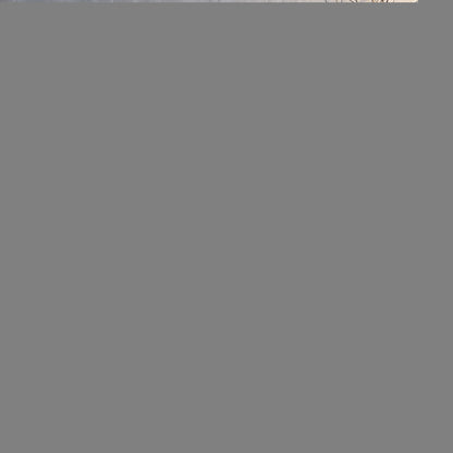 Tube Top Little Evening Dress Dinner Party Nightclub Elegant Short Socialite